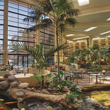 Embassy Suites By Hilton Phoenix Biltmore Exterior foto